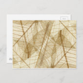 Carte Postale Feuilles en dentelle beige crème pâle (Devant / Derrière)