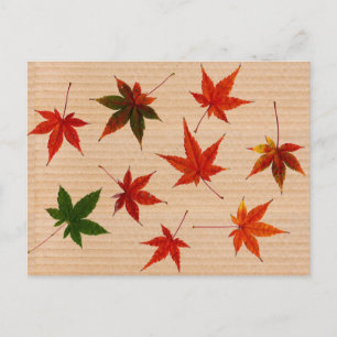 Carte Postale Feuilles en érable sur carton