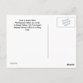 Carte Postale Feuilles en forme de coeur (Dos)