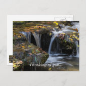 Carte Postale Feuilles Et Cascades (Devant / Derrière)