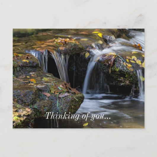 Carte Postale Feuilles Et Cascades (Devant)