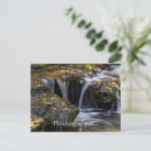 Carte Postale Feuilles Et Cascades (Debout devant)