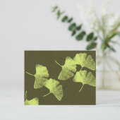 Carte Postale Feuilles Ginkgo (Debout devant)