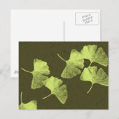 Carte Postale Feuilles Ginkgo (Devant / Derrière)