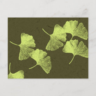 Carte Postale Feuilles Ginkgo