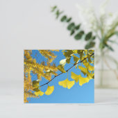 Carte Postale Feuilles Ginkgo en automne (Debout devant)