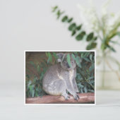 Carte Postale feuilles koala (Debout devant)