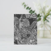 Carte Postale Feuilles noires (Debout devant)