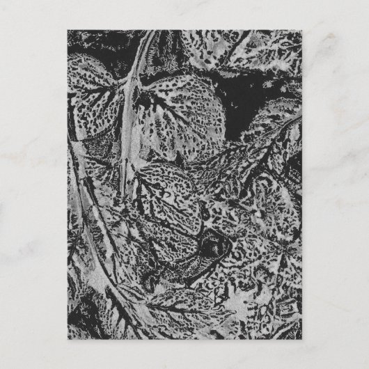 Carte Postale Feuilles noires (Devant)