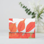 Carte Postale Feuilles oranges d'automne (Debout devant)