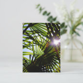 Carte Postale Feuilles Palm (Debout devant)