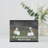 Carte Postale Feuilles Pelicans (Debout devant)
