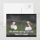 Carte Postale Feuilles Pelicans (Devant / Derrière)