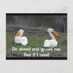 Carte Postale Feuilles Pelicans
