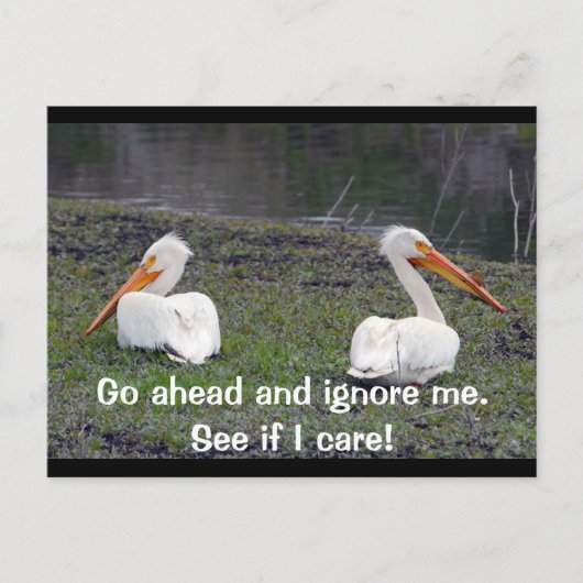 Carte Postale Feuilles Pelicans (Devant)