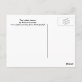 Carte Postale Feuilles psychédéliques (Dos)