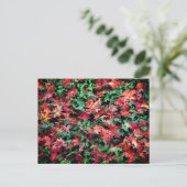 Carte Postale Feuilles - Rouge et Vert (Debout devant)