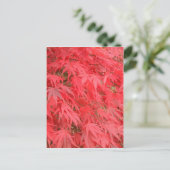 Carte Postale Feuilles rouges (Debout devant)