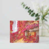 Carte Postale Feuilles rouges (Debout devant)