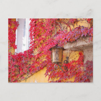 Carte Postale Feuilles rouges