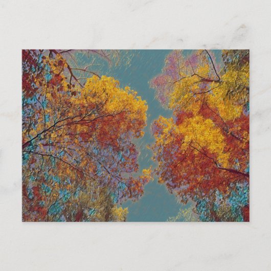 Carte Postale Feuilles rouges (Devant)