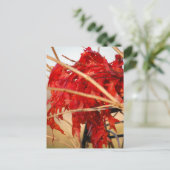 Carte Postale Feuilles rouges automne/automne (Debout devant)