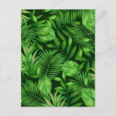 Carte Postale Feuilles tropicaux 3 (Devant)