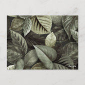 Carte Postale Feuilles tropicaux 5 (Dos)