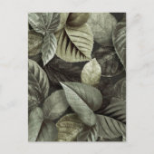 Carte Postale Feuilles tropicaux 5 (Devant)