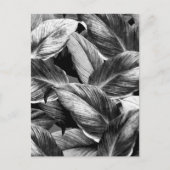 Carte Postale Feuilles tropicaux 8 (Devant)