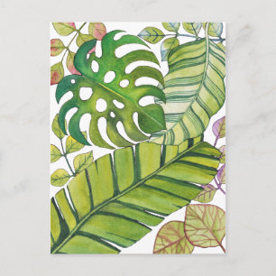 Carte Postale Feuilles Tropicaux En Aquarelle