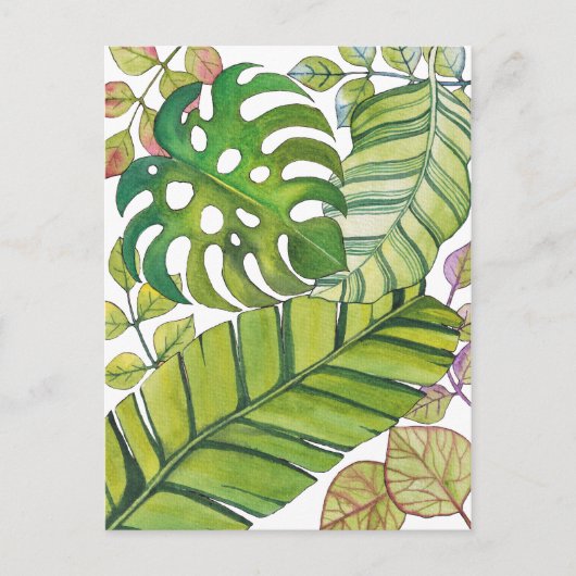 Carte Postale Feuilles Tropicaux En Aquarelle (Devant)