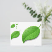 Carte Postale Feuilles vertes (Debout devant)