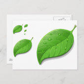 Carte Postale Feuilles vertes (Devant / Derrière)