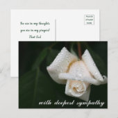 Carte Postale Feuilles Vertes Apaisantes Rose Blanche Sympathie (Devant / Derrière)