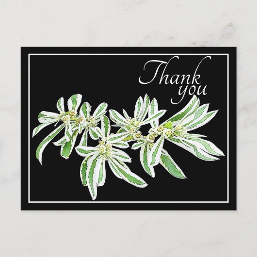 Carte Postale Feuilles Vertes & Blanches Fond Noir Merci (Devant)