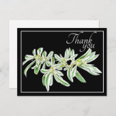Carte Postale Feuilles vertes et blanches Fond noir Merci (Devant / Derrière)