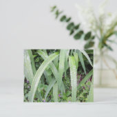 Carte Postale Feuilles Vertes Humides (Debout devant)