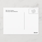 Carte Postale Feuilles Vertes Humides (Dos)