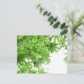Carte Postale Feuilles verts (Debout devant)