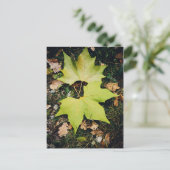 Carte Postale Feuilles verts chêne (Debout devant)