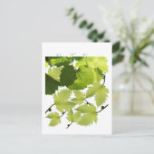 Carte Postale Feuilles verts de vigne (Debout devant)