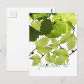 Carte Postale Feuilles verts de vigne (Devant / Derrière)