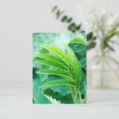 Carte Postale Feuilles verts frais (Debout devant)