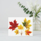 Carte Postale feuilles vintages (Debout devant)