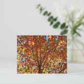 Carte Postale Feux d'artifice d'automne (Debout devant)