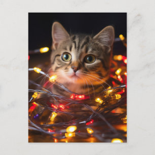 Carte Postale Feux de Noël de chat