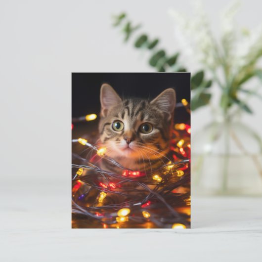 Carte Postale Feux de Noël de chat (Debout devant)