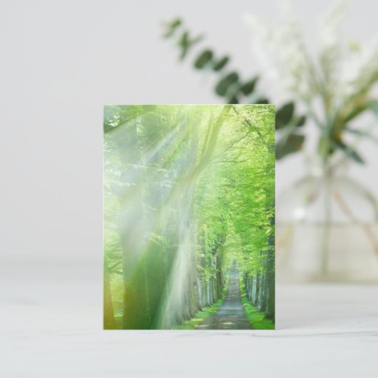 Carte Postale Feux de soleil (Debout devant)