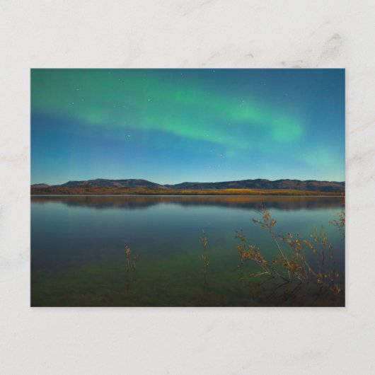 Carte Postale Feux du Nord (Aurora borealis) (Devant)